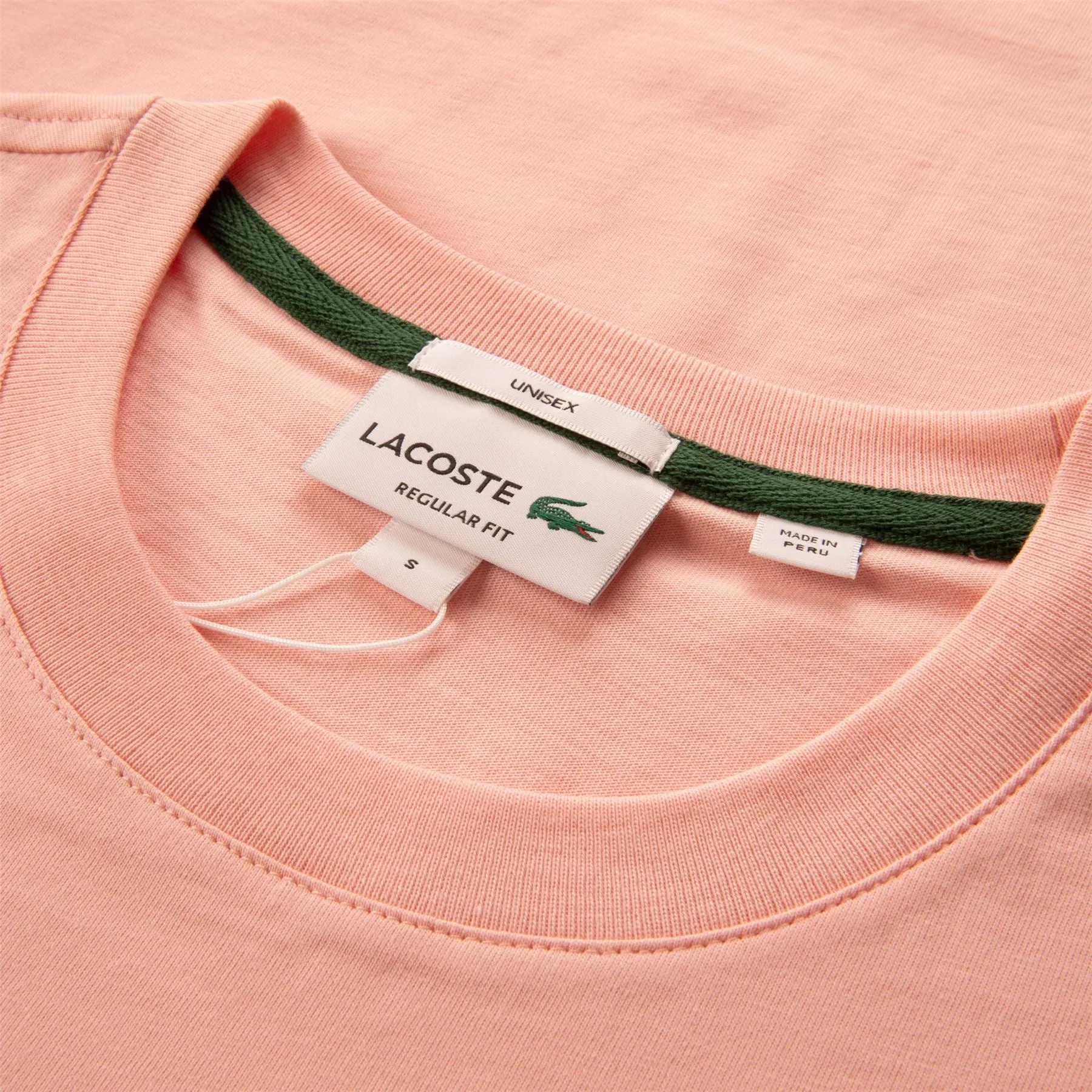 Regular Fit Cotton Jersey Branded T-Shirt Waterlily Pink - SS24