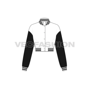 Women Crop Varsity Jacket